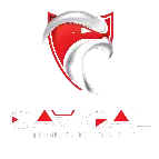 CAVIGAL NICE TENNIS DE TABLE